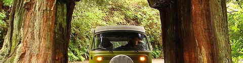 VWT2OC